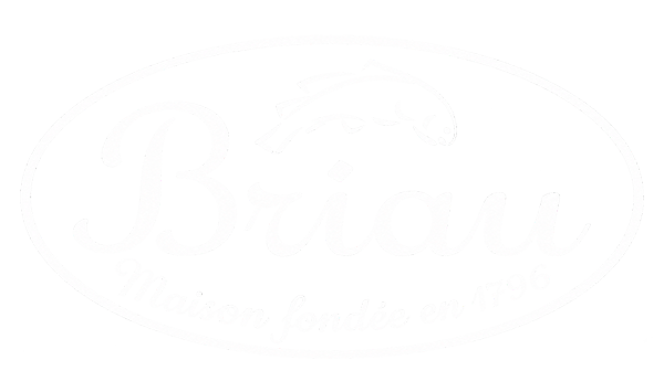 logo_briau