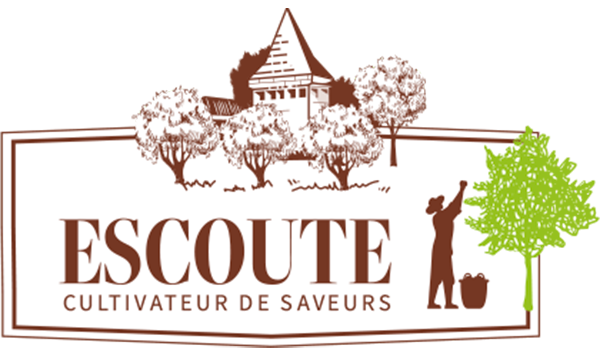 logo_escoute