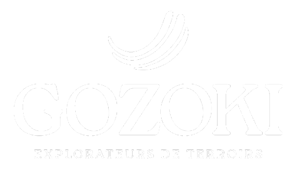 logo_gozoki